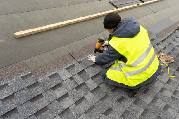 Best Roof Moss and Algae Removal  in Massac, KY